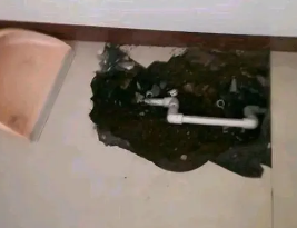 山亭卫生间测漏水多少钱